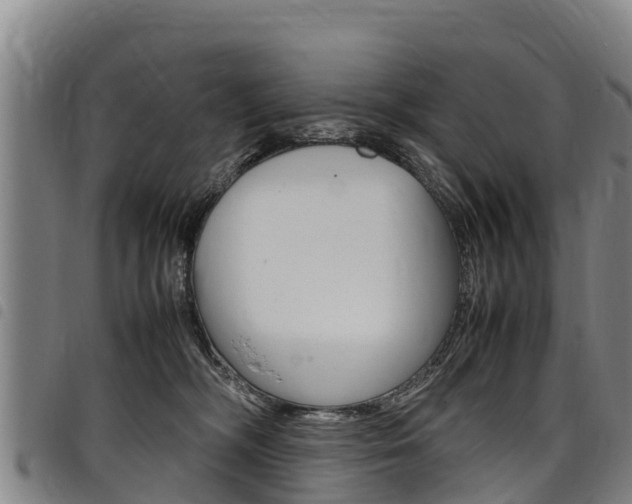 X0000098120326200804040829