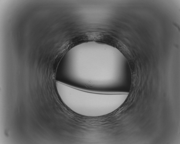 X0000098120329200804040829