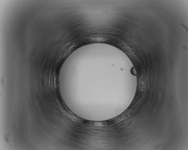 X0000098120330200804040829