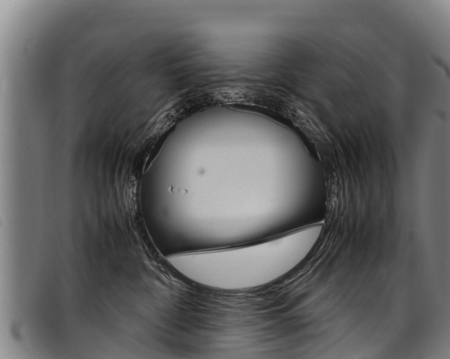 X0000098120332200804040829