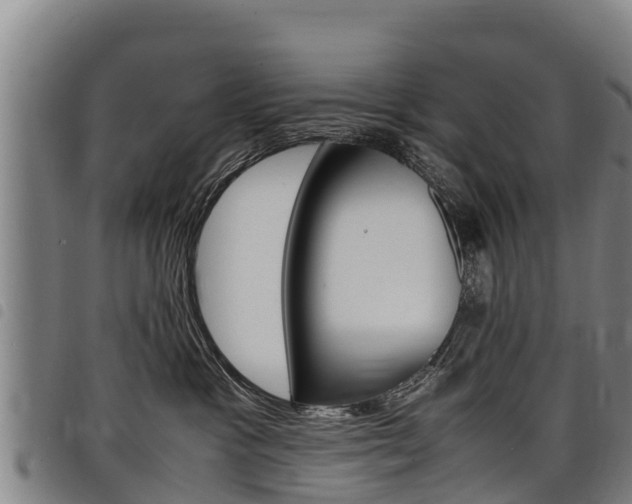 X0000098120333200804040829