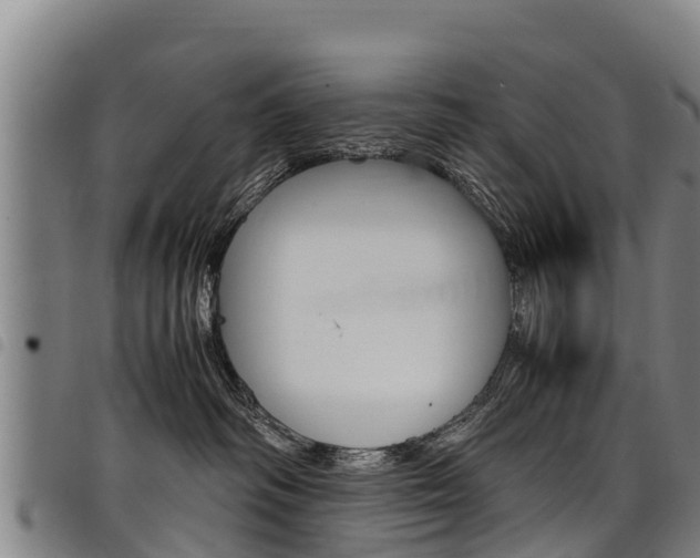 X0000098120334200804040829