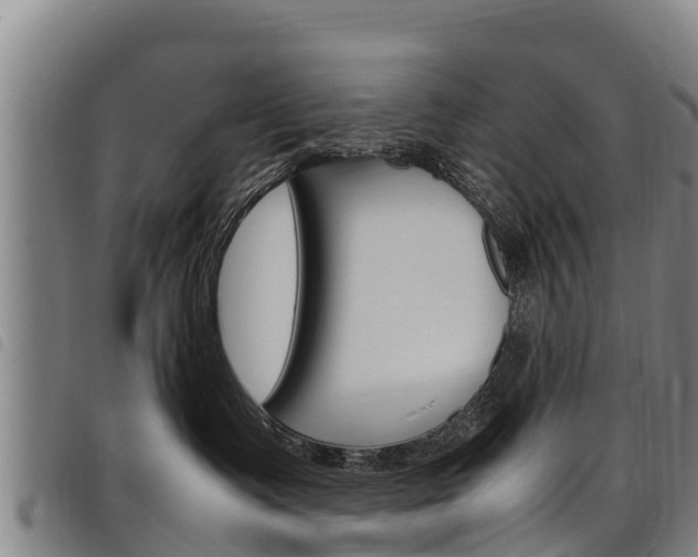 X0000098120335200804040829