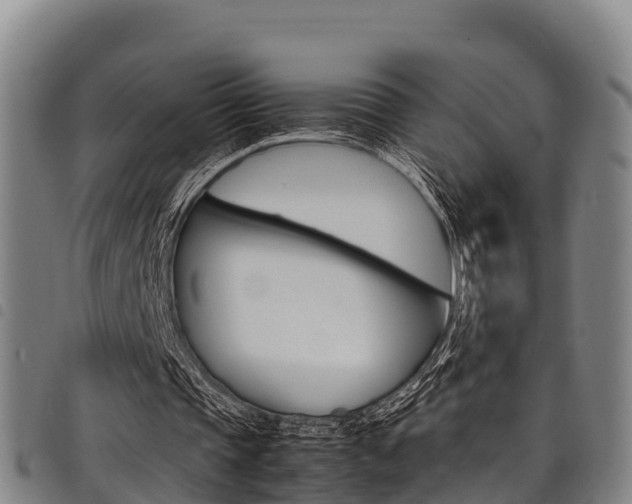 X0000098120337200804040828