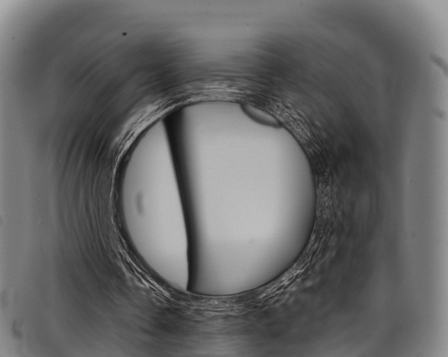 X0000098120338200804040828