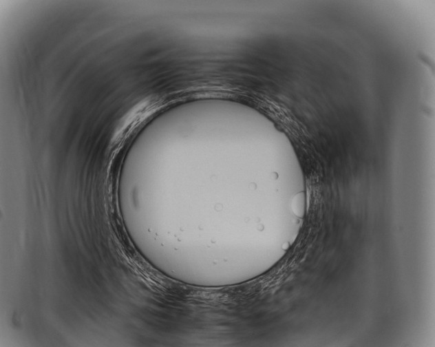 X0000098120339200804040828