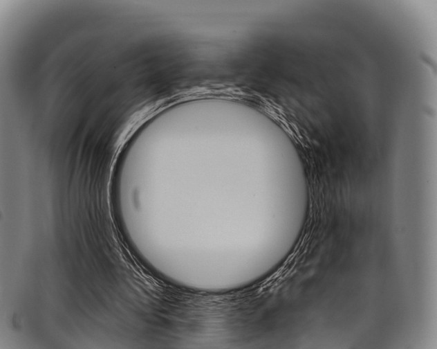 X0000098120340200804040828