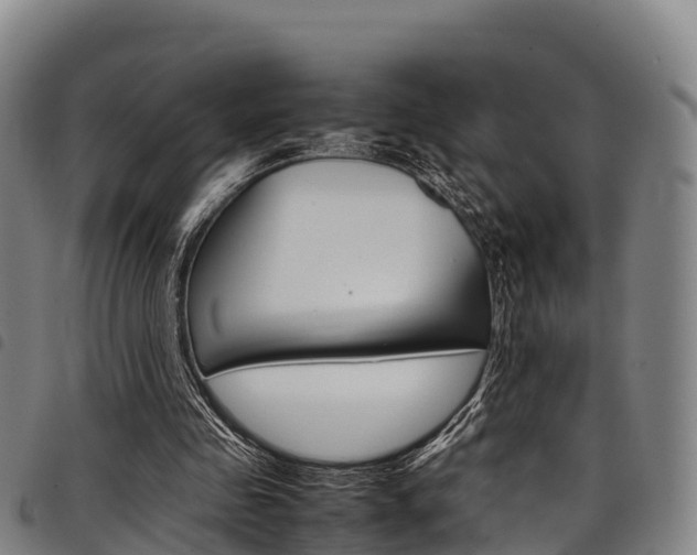 X0000098120341200804040828