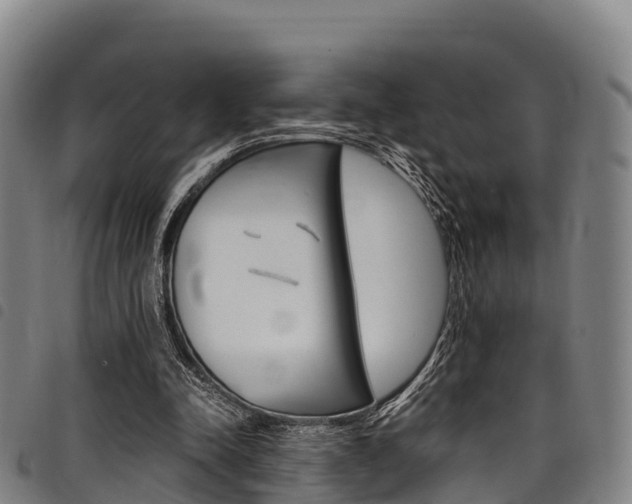 X0000098120342200804040828