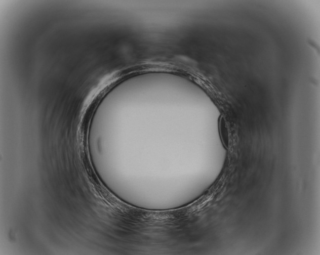 X0000098120343200804040828