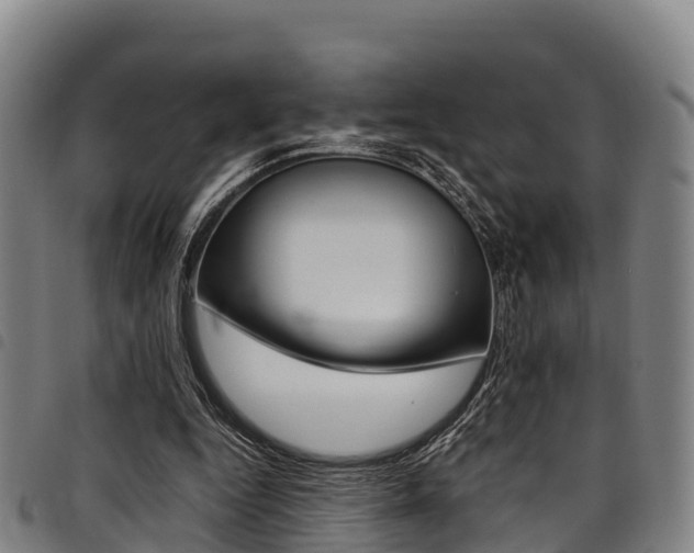 X0000098120344200804040828
