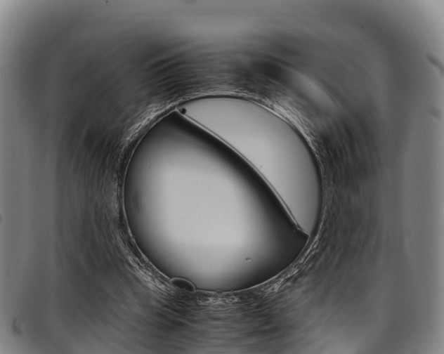 X0000098120345200804040828