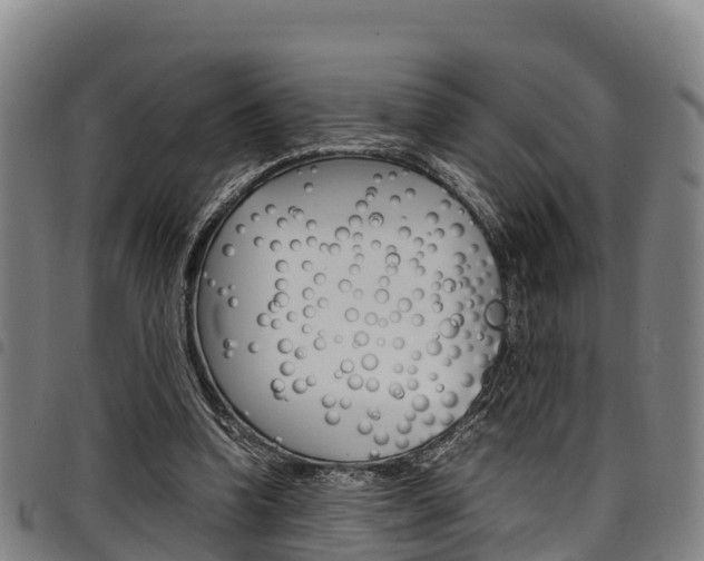 X0000098120346200804040829