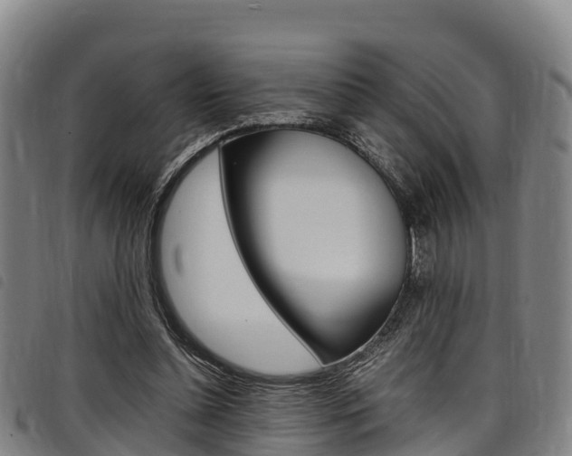 X0000098120348200804040829