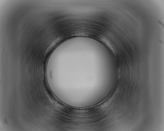 X0000098120349200804040829