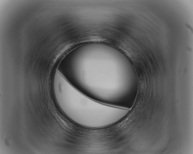 X0000098120350200804040829