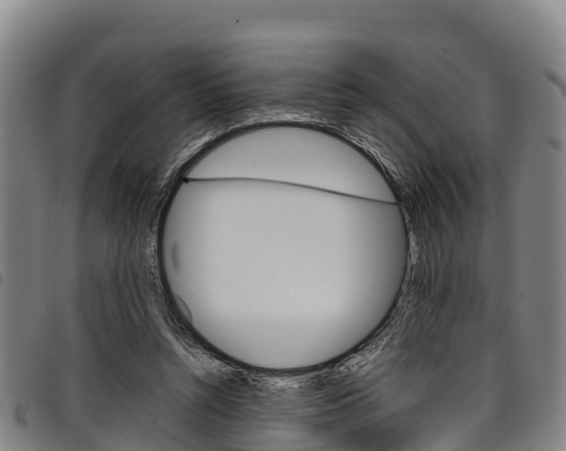X0000098120352200804040829