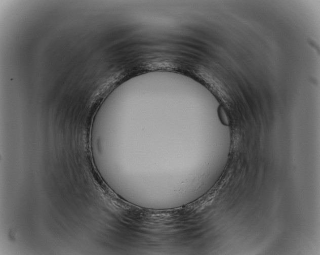 X0000098120353200804040829