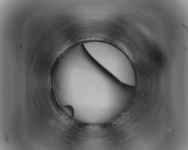 X0000098120354200804040829