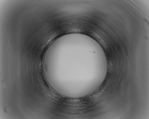 X0000098120355200804040829