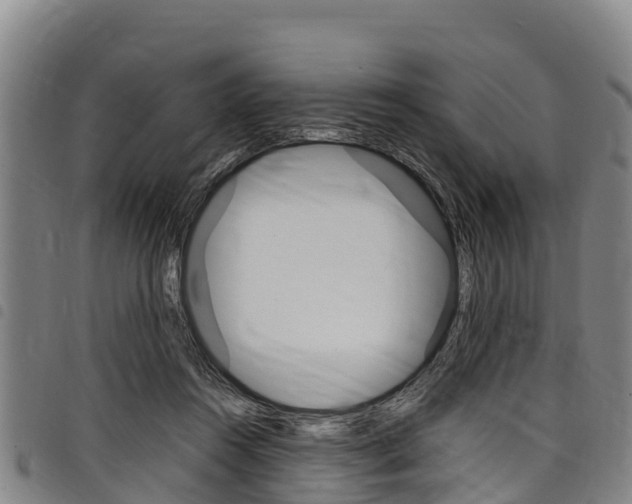 X0000098120360200804040829