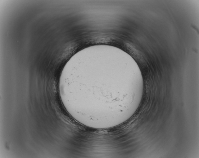 X0000098120362200804040829