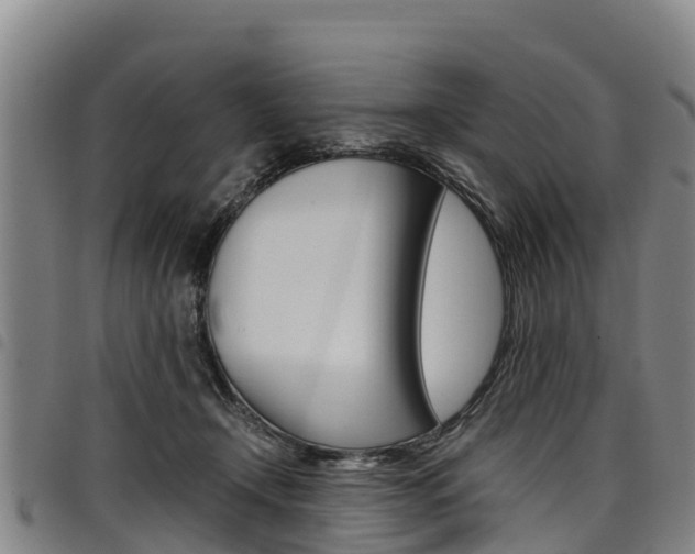 X0000098120366200804040829