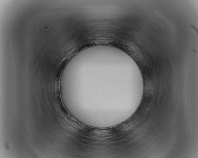 X0000098120367200804040829