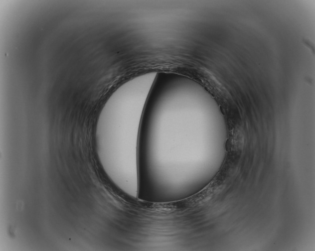 X0000098120368200804040829