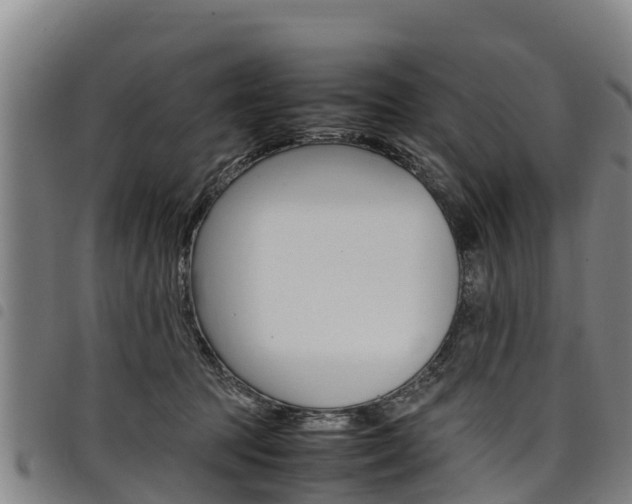 X0000098120369200804040829