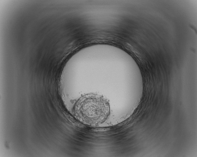 X0000098120370200804040829