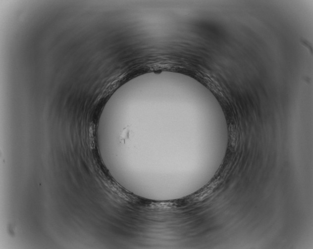X0000098120378200804040829