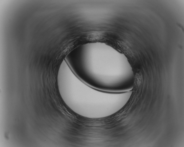 X0000098120380200804040829