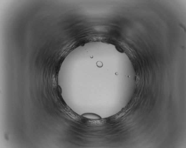 X0000098120381200804040829