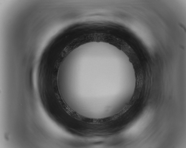 X0000098120383200804040829