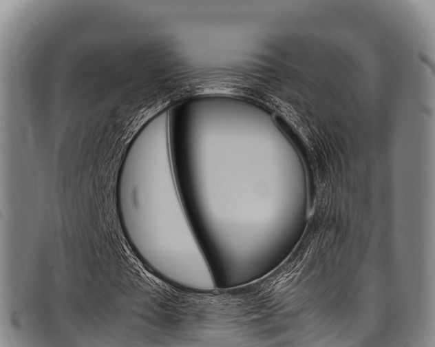 X0000098120385200804040828