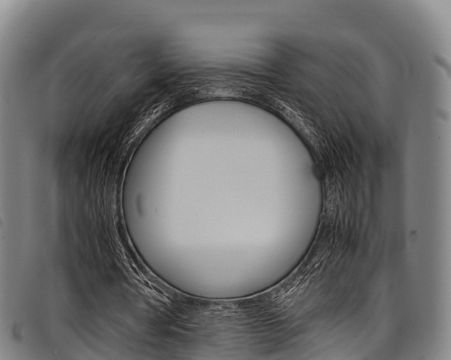 X0000098120386200804040828