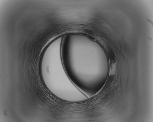 X0000098120387200804040828