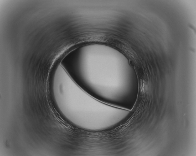 X0000098120388200804040828