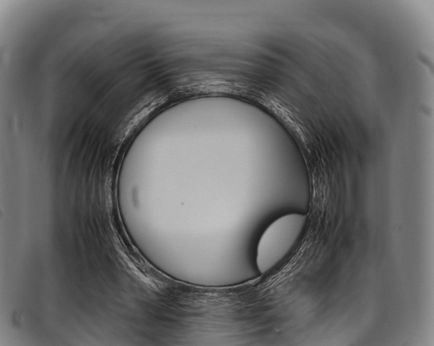 X0000098120390200804040828