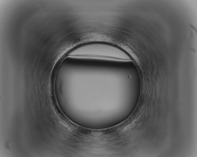 X0000098120391200804040828