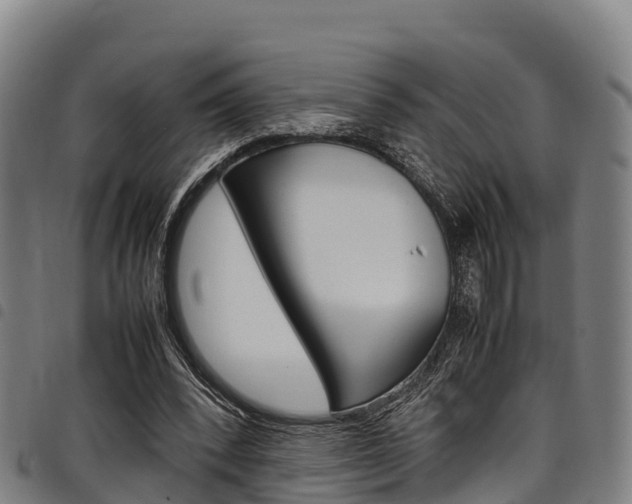 X0000098120392200804040828