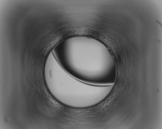 X0000098120393200804040828