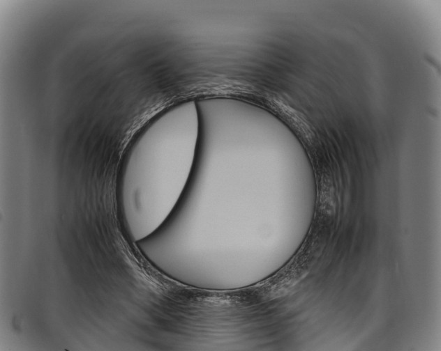X0000098120394200804040828