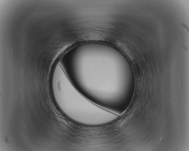 X0000098120395200804040828