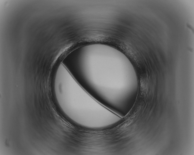 X0000098120396200804040828
