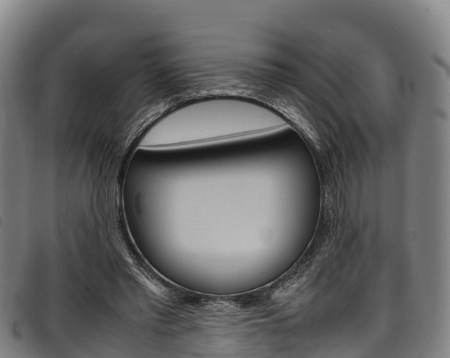 X0000098120397200804040828