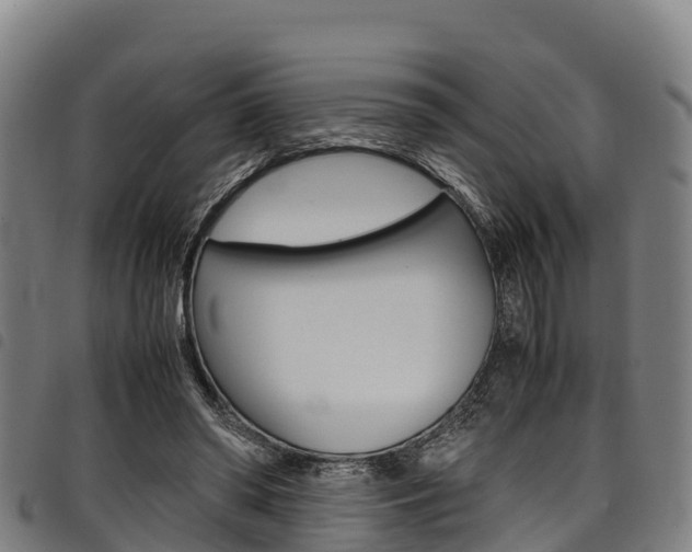 X0000098120398200804040828