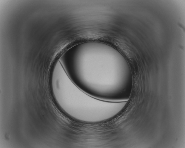 X0000098120399200804040828
