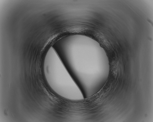 X0000098120400200804040828